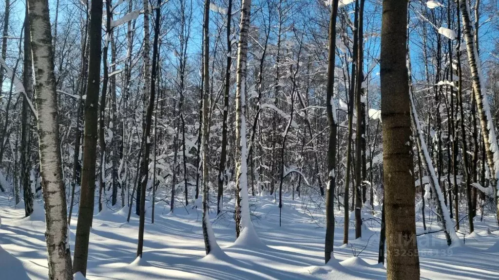 2-к кв. Москва Северодвинская ул., 9 (59.0 м) - Фото 1