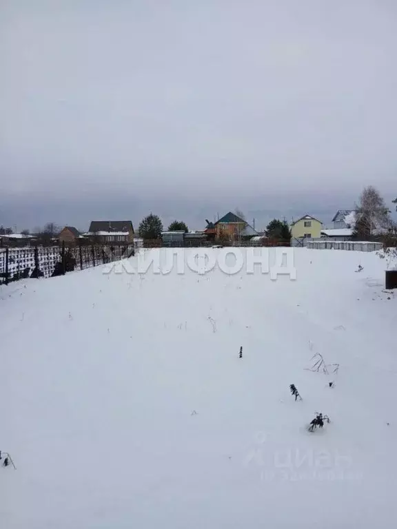 Участок в Новосибирская область, Колывань рп ул. Заводская, 54 (10.0 ... - Фото 2