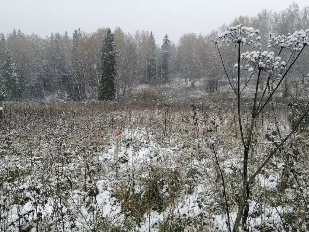 Участок в Томская область, Томский район, Богашевское с/пос, д. ... - Фото 2