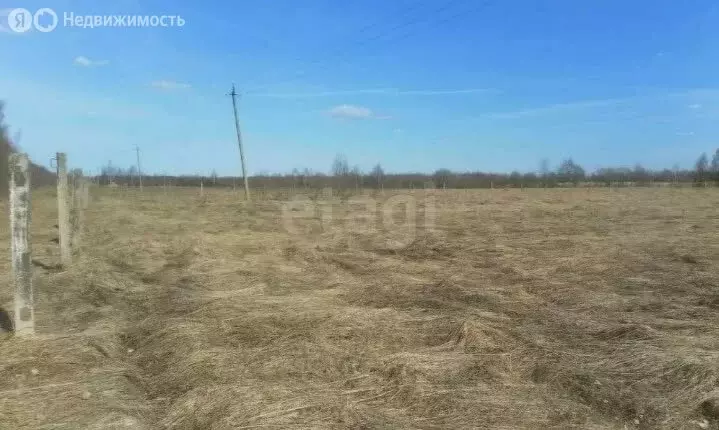 Участок в Навлинский район, Алешинское сельское поселение (640 м) - Фото 2