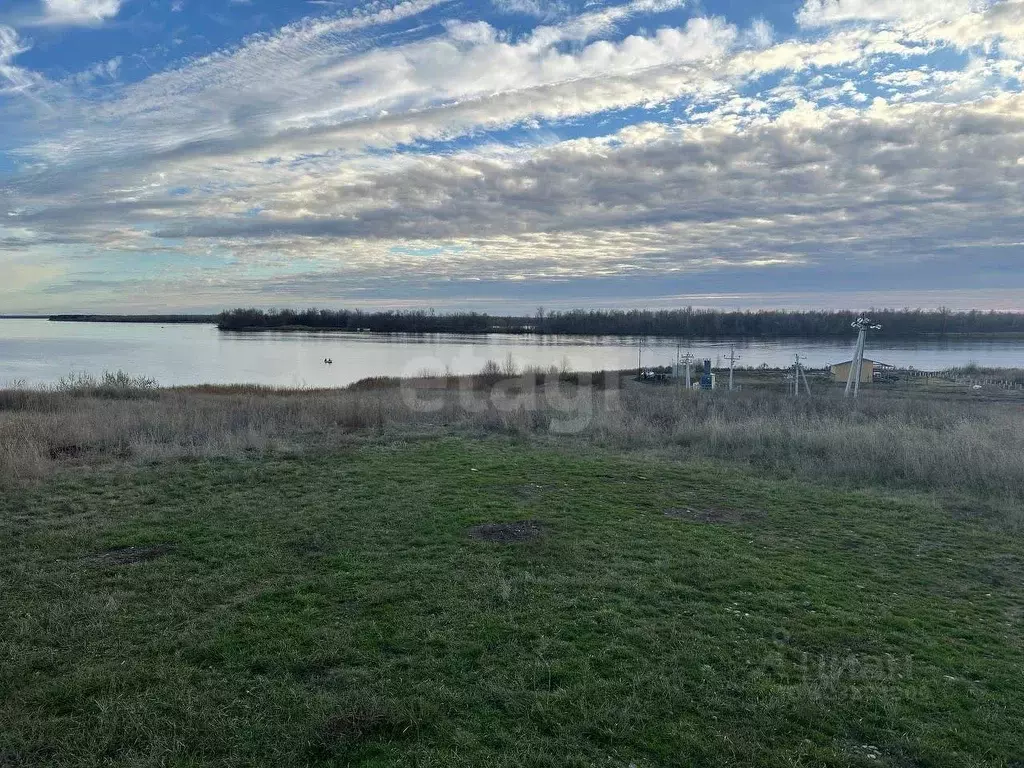 Участок в Саратовская область, Воскресенский район, Елшанское ... - Фото 1