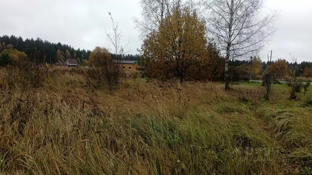 Участок в Московская область, Можайский муниципальный округ, д. ... - Фото 2