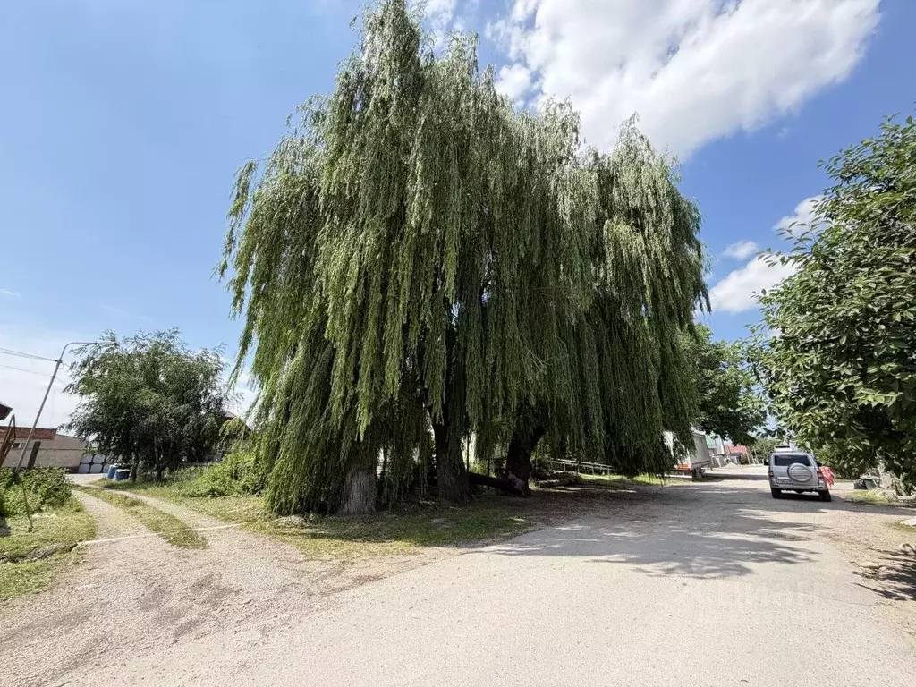Участок в Кабардино-Балкария, Баксан ул. Свободы, 58 (8.0 сот.) - Фото 1