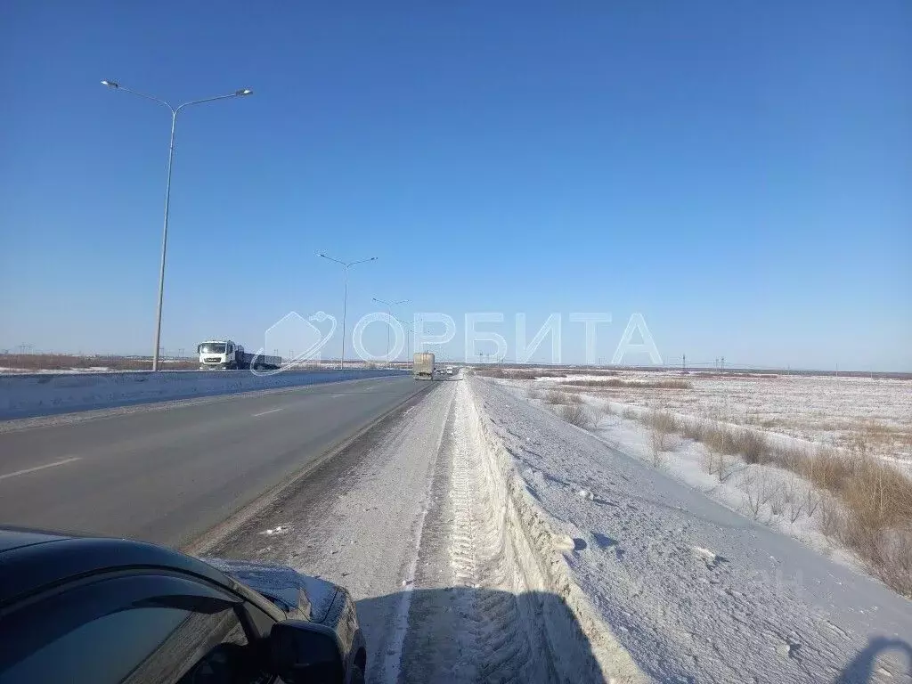 участок в тюменская область, тюмень яровское садовое товарищество, . - Фото 1