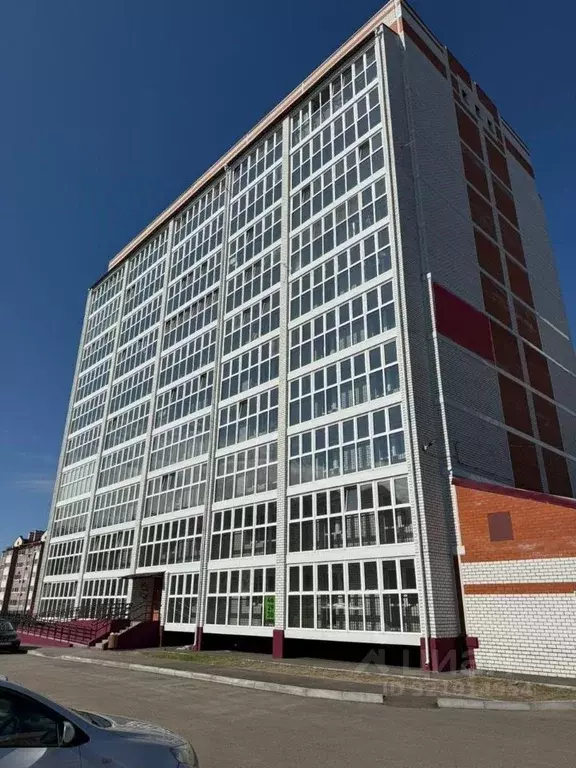 Студия Амурская область, Благовещенский район, с. Чигири ул. ... - Фото 1