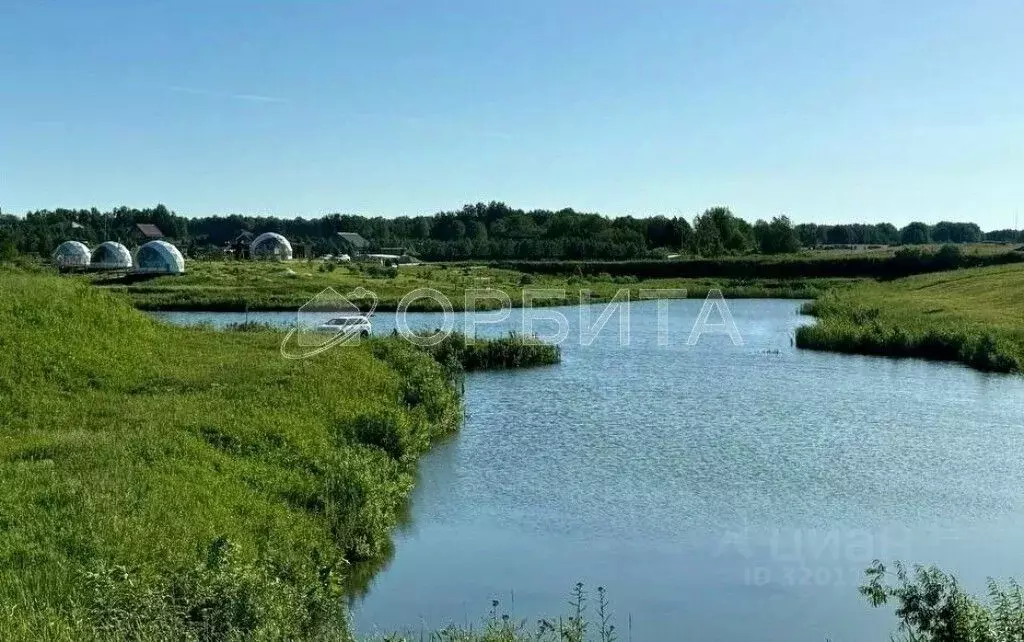 Участок в Тюменская область, Тюменский район, Новокаменский кп ул. ... - Фото 1