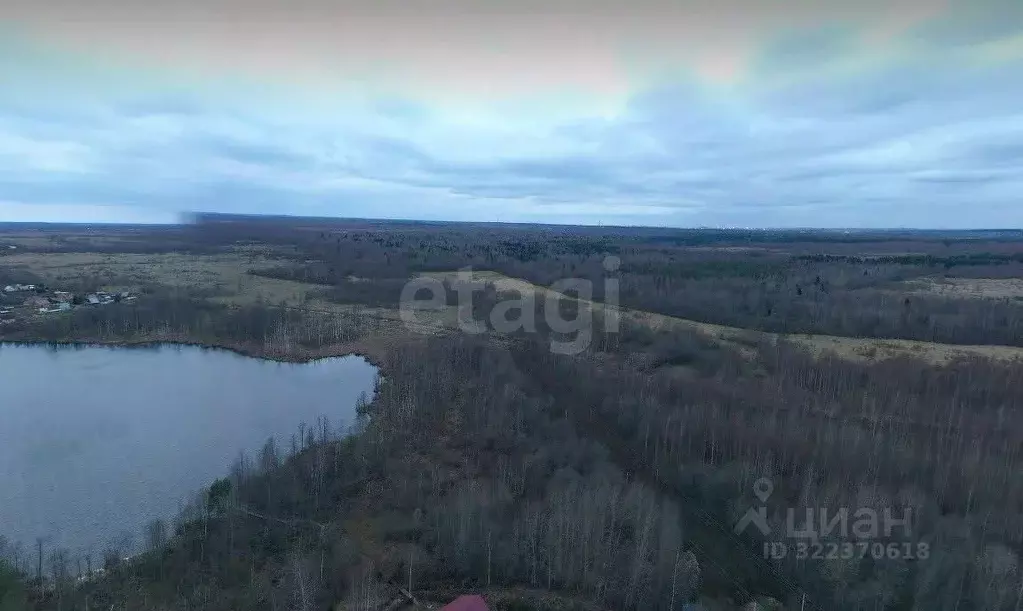 Участок в Вологодская область, Череповецкий район, Югское ... - Фото 1