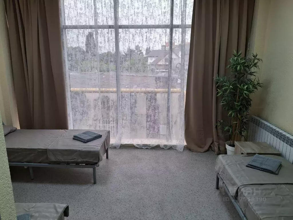 Комната Краснодарский край, Сочи Урожайная ул., 41Б/2 (20.0 м) - Фото 0