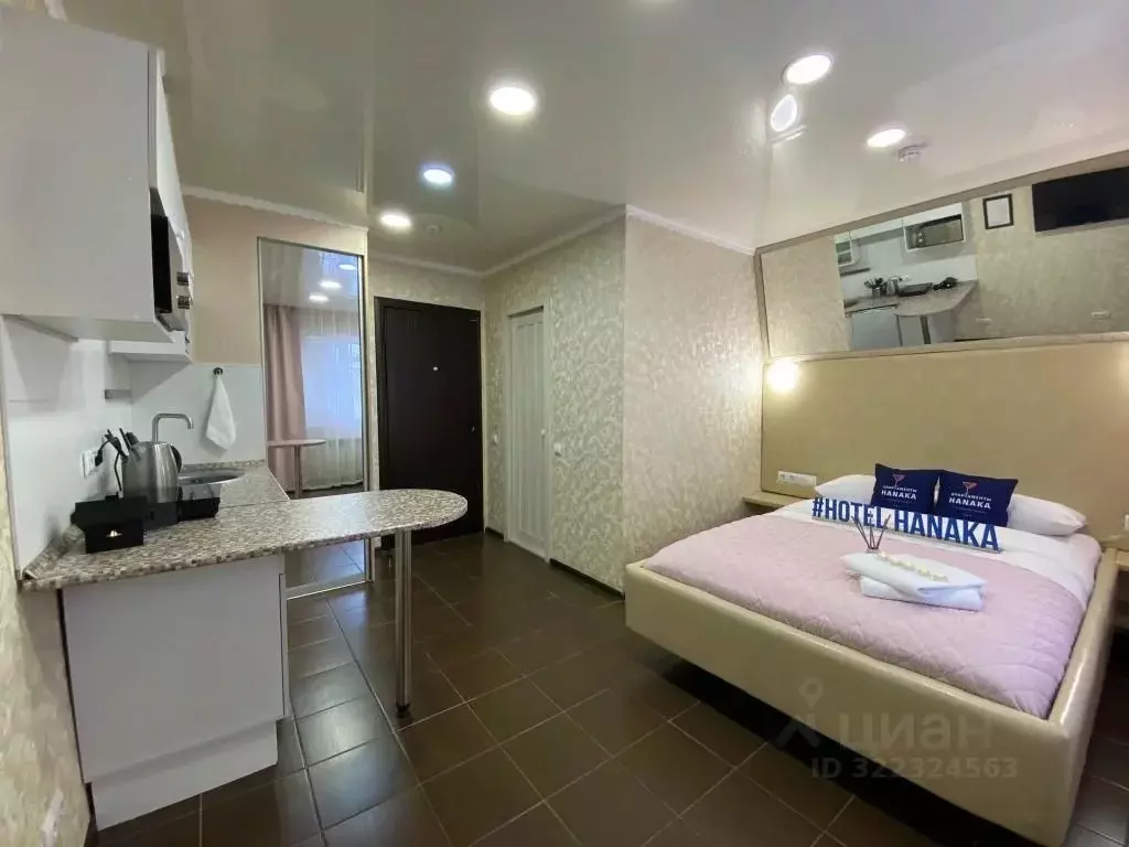 1-к кв. Московская область, Балашиха Салтыковка мкр, Пионерская ул., ... - Фото 2