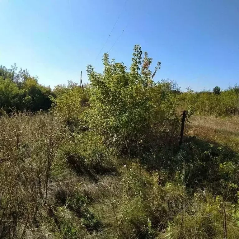 Дом в Оренбургская область, Бузулук Вымпел СНТ,  (16 м) - Фото 2