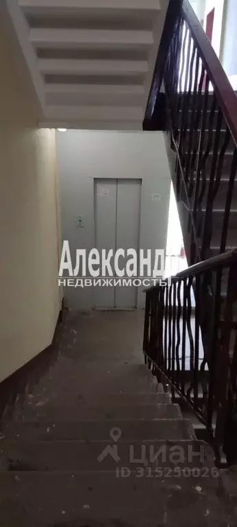 Комната Санкт-Петербург ул. Чекистов, 44 (13.5 м) - Фото 2