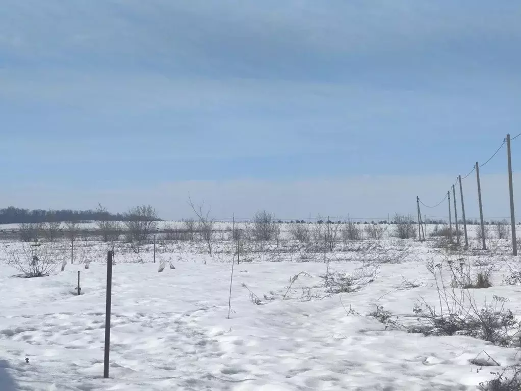 Участок в Пензенская область, с. Бессоновка, Виктория кп  (20.0 сот.) - Фото 1