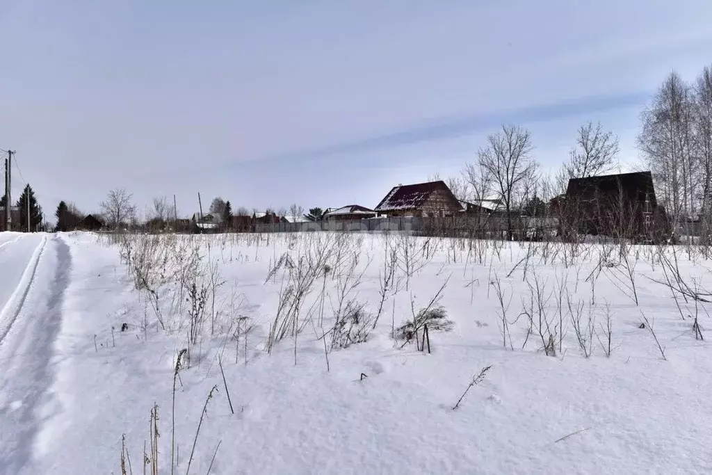 Участок в Алтайский край, Бийск Монтажник СНТ, ул. Сиреневая (14.6 ... - Фото 1