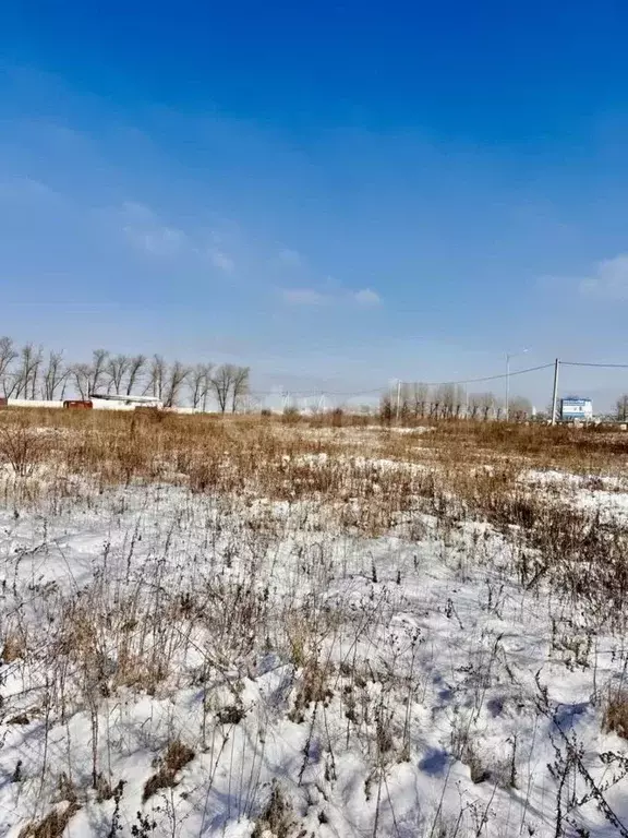 Участок в Белгородская область, Белгородский район, Дубовское с/пос, ... - Фото 1