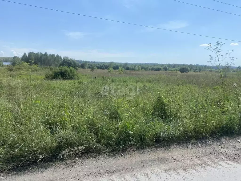 Участок в Новосибирская область, Новосибирский район, с. Плотниково  ... - Фото 0