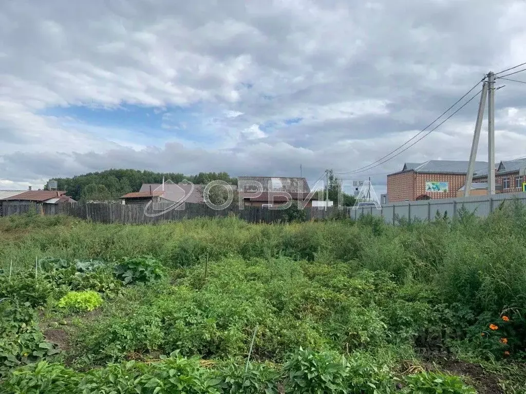 Участок в Тюменская область, Тюменский район, д. Большие Акияры ... - Фото 1