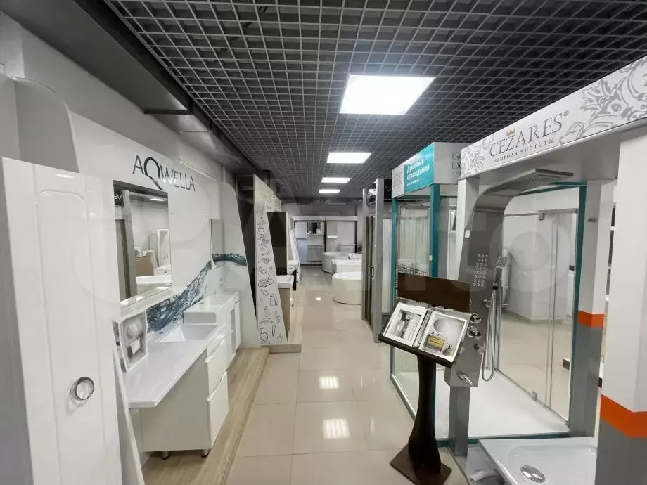 Сдам помещение свободного назначения, 250 м - Фото 1