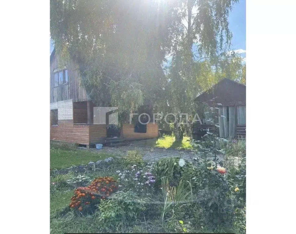 Участок в Новосибирская область, Новосибирский район, Морской ... - Фото 2