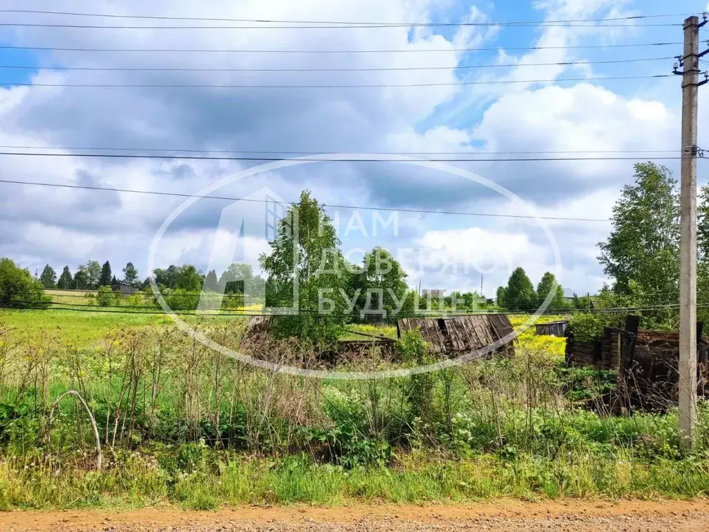 Участок в Пермский край, Чайковский городской округ, д. Дедушкино ул. ... - Фото 0