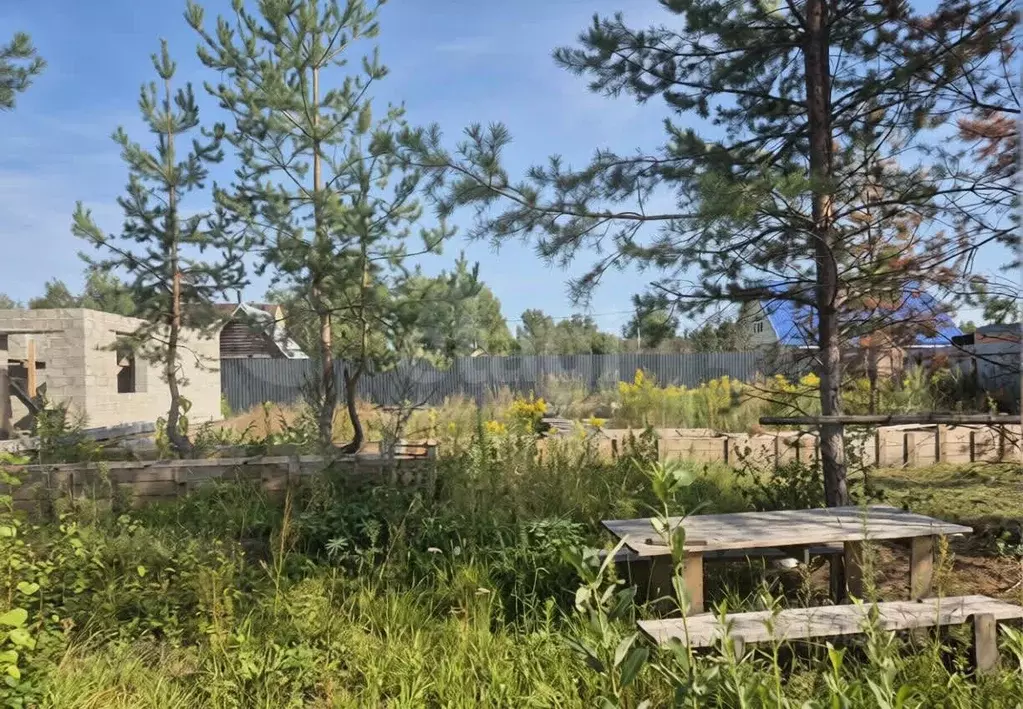 Участок в Курганская область, Курган Надежда СНТ, ул. Центральная, 153 ... - Фото 2