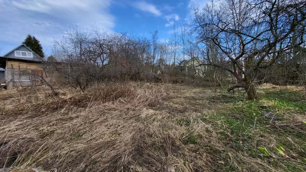 Участок в Ленинградская область, Кировский район, Синявинское ... - Фото 1