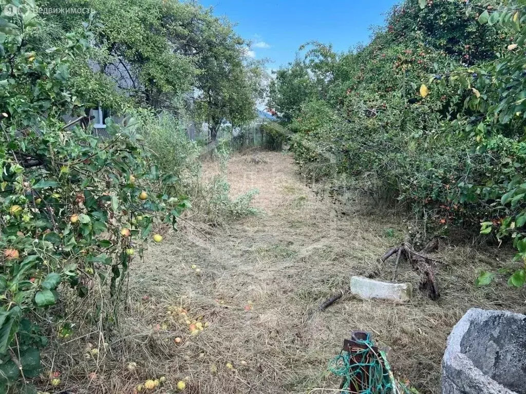 Участок в Калининград, СНТ Чайка, Вишнёвый проезд, 100 (5.4 м) - Фото 1