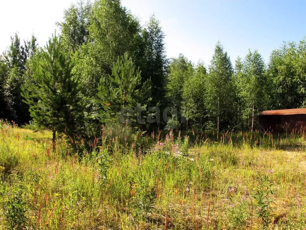 Участок в Коми, Корткеросский район, Додзь муниципальное образование, ... - Фото 2