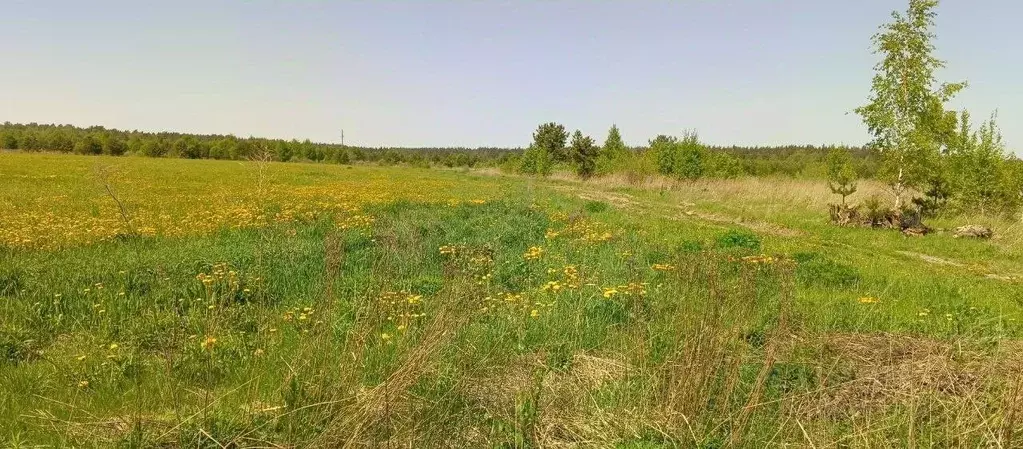 Участок в Владимирская область, Камешковский район, д. Брызгалово, ... - Фото 2