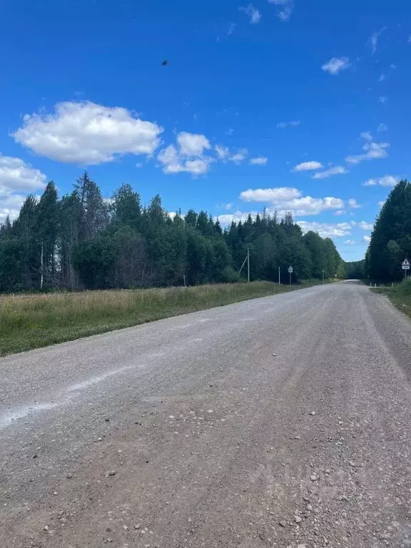 Участок в Пермский край, Ильинский муниципальный округ, д. Кропани  ... - Фото 2