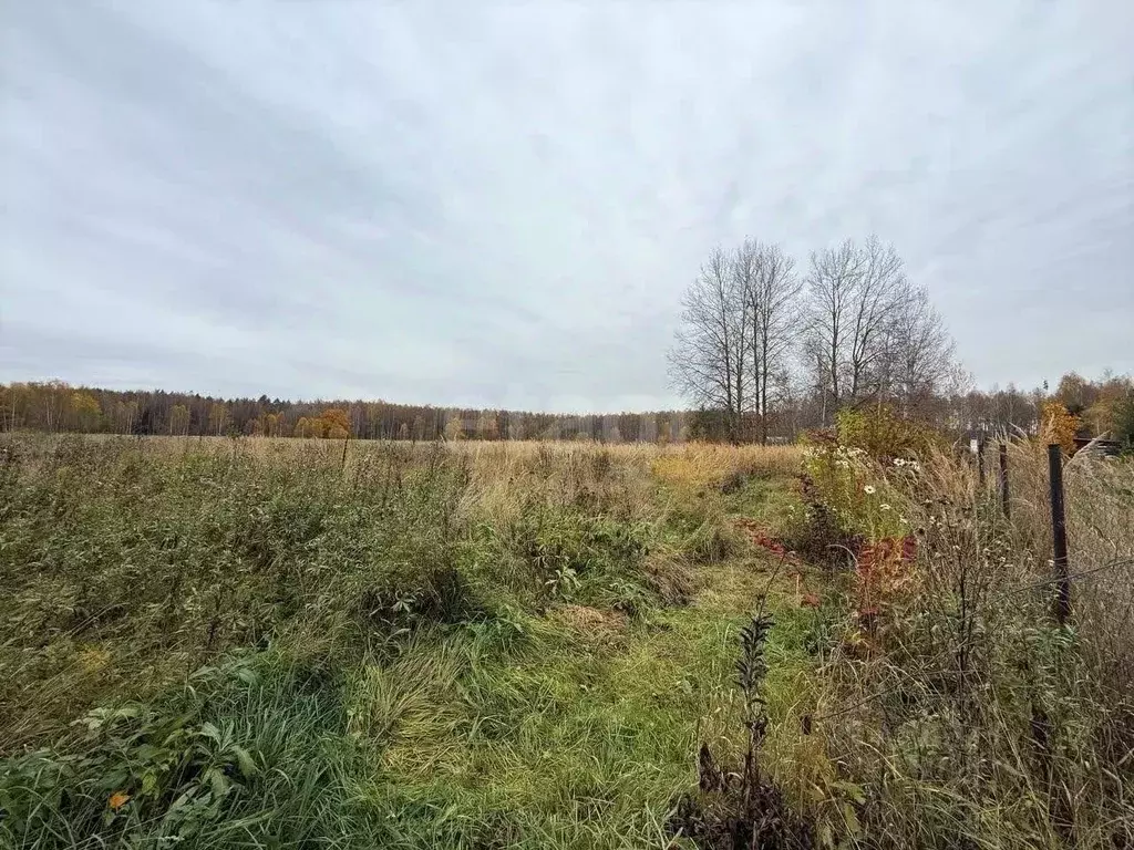 Участок в Владимирская область, Покров городской округ, д. Русаново ... - Фото 1