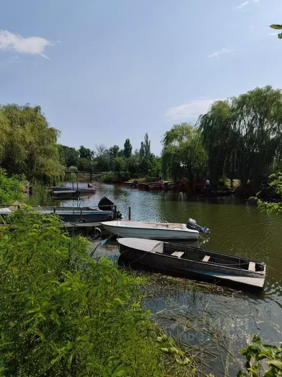 Дом в Ростовская область, Азовский район, Елизаветинское с/пос, Дугино ... - Фото 1