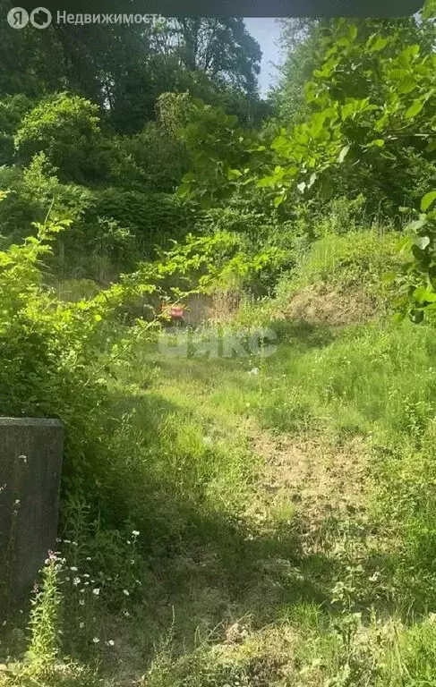 Участок в Краснодарский край, городской округ Сочи, село Верхний Юрт, ... - Фото 0