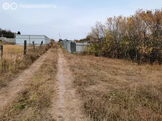 Участок в Тереньгульский район, Ясашноташлинское сельское поселение, ... - Фото 0