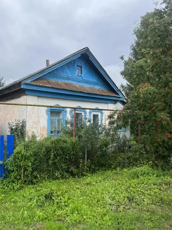 Дом в Нижегородская область, Перевозский муниципальный округ, д. Чепас ... - Фото 1
