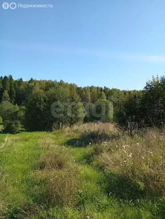 участок в вологодская область, грязовецкий муниципальный округ, село . - Фото 0