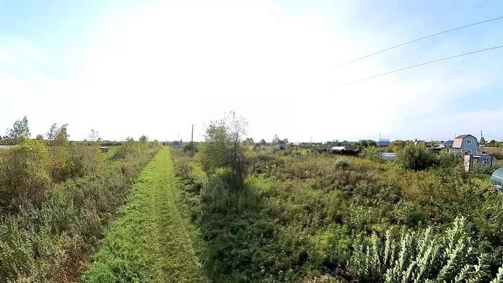 Участок в Тюменская область, Тюмень Автомобилист СНТ, ул. Рябиновая ... - Фото 1