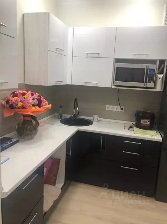 Студия Белгородская область, Белгород ул. Каштановая, 12 (28.0 м) - Фото 1