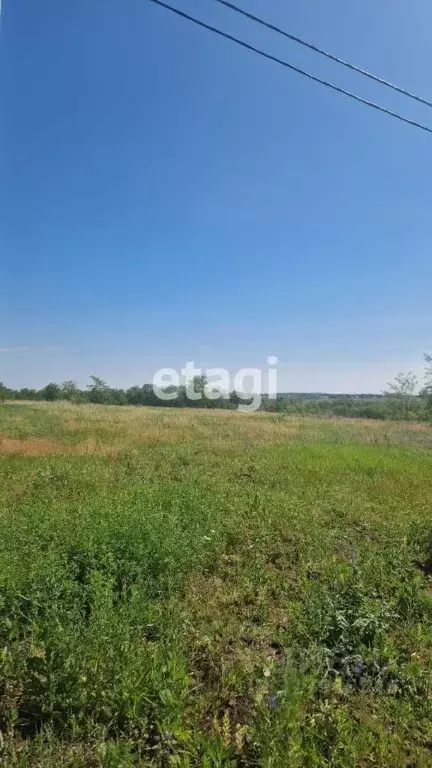 Участок в Белгородская область, Белгородский район, Разумное рп ул. ... - Фото 1