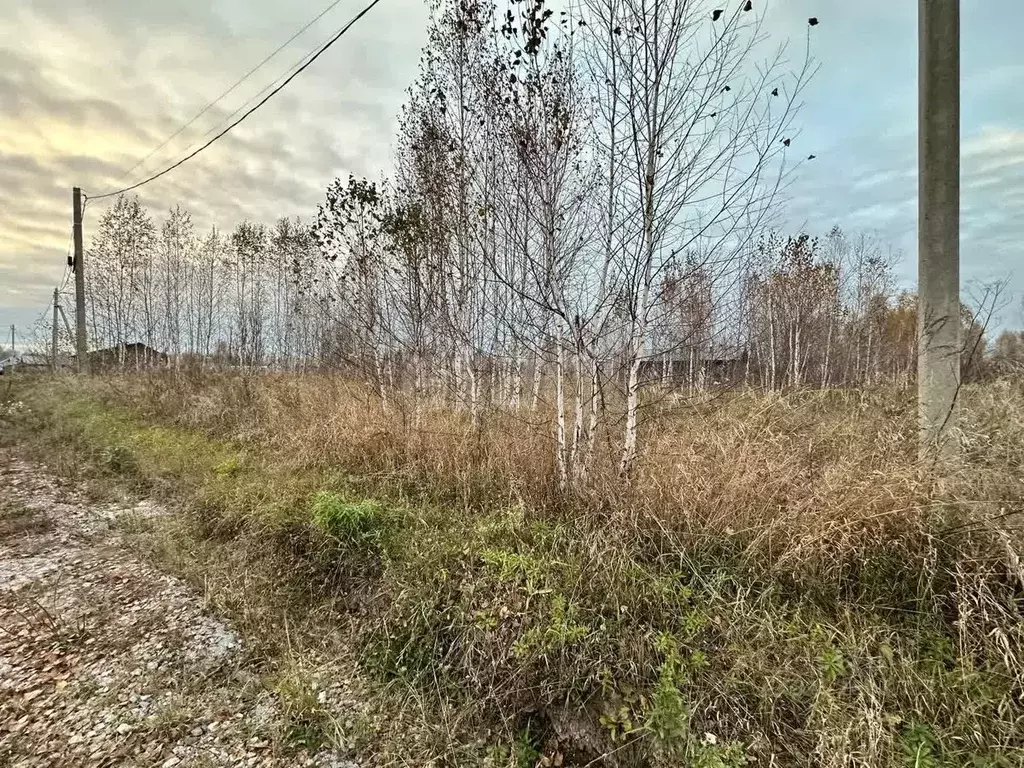 Участок в Новосибирская область, Новосибирский район, Барышевский ... - Фото 1