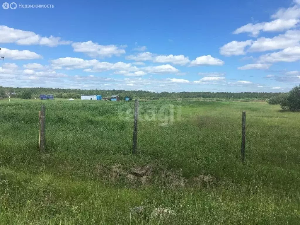 Участок в Тюменский район, деревня Малые Акияры, улица Туйчина (24 м) - Фото 1