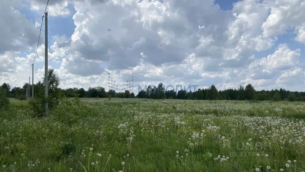 Участок в Нижегородская область, Чкаловск муниципальный округ, д. ... - Фото 0