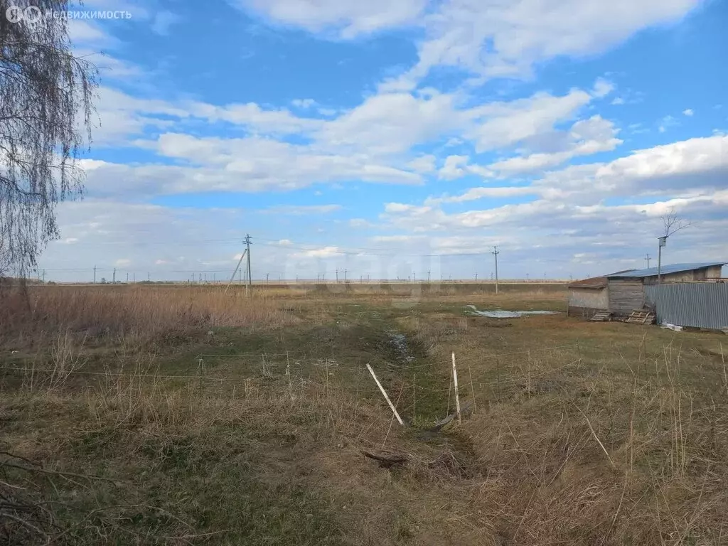 Участок в село Абатское, улица Свободы (10 м) - Фото 2