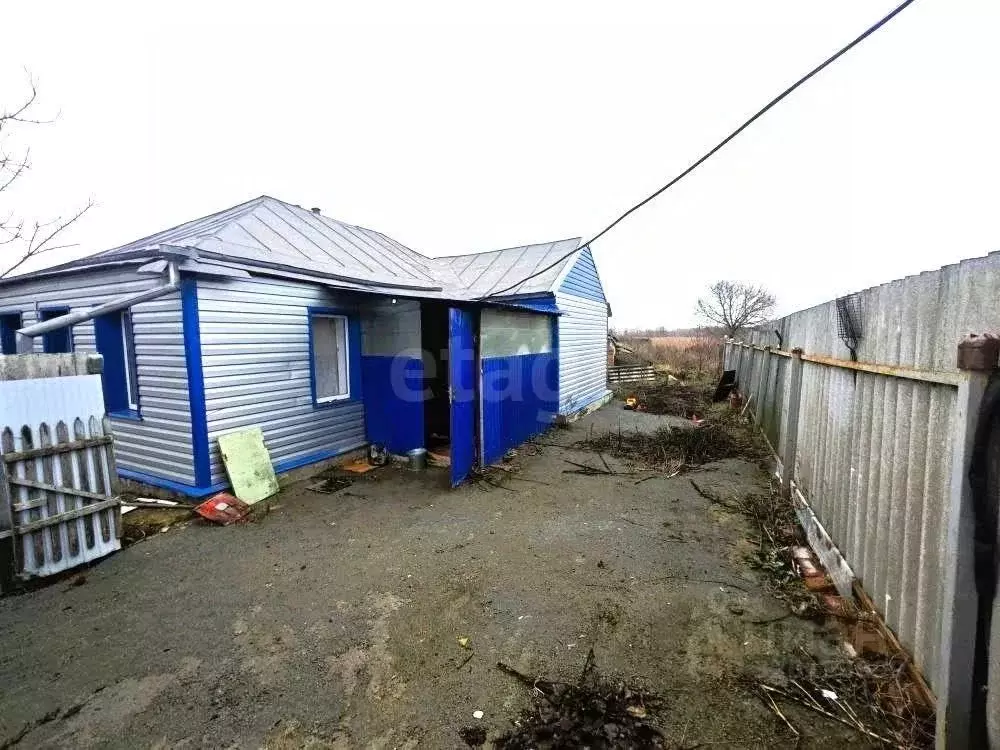 Дом в Белгородская область, Новооскольский муниципальный округ, с. ... - Фото 1