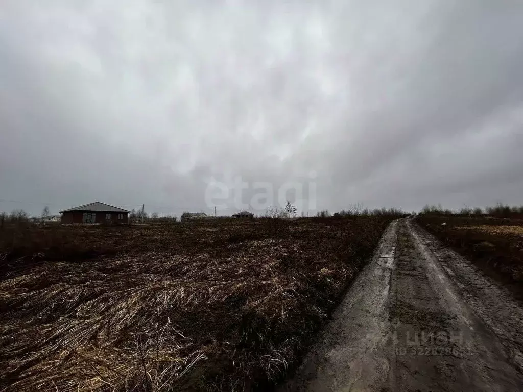 Участок в Брянская область, Брянский район, Отрадненское с/пос, с. ... - Фото 1