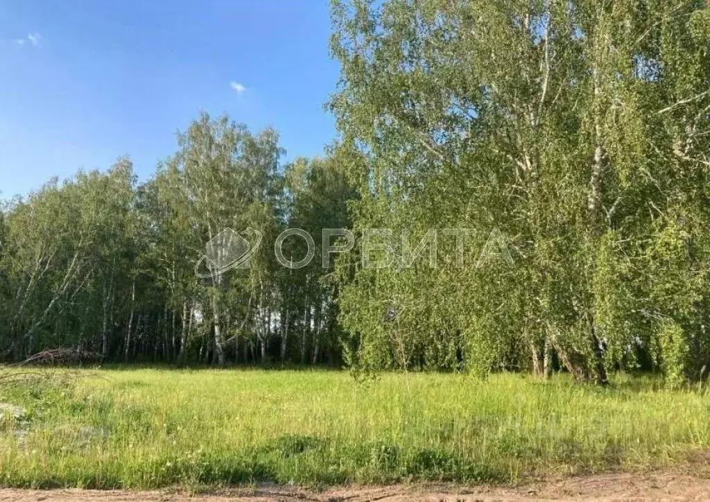 Участок в Тюменская область, Тюменский муниципальный округ, с. ... - Фото 2