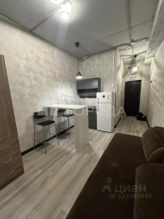 Студия Новосибирская область, Новосибирск Северный мкр, ул. ... - Фото 2