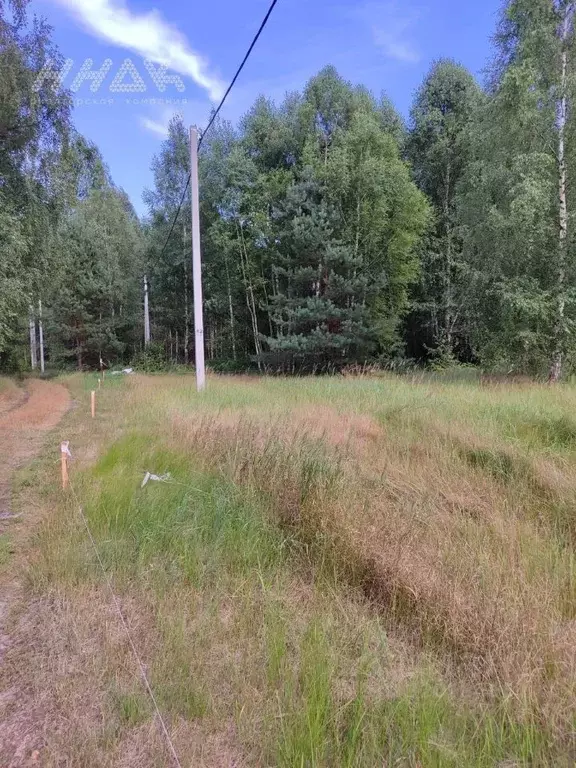 Участок в Нижегородская область, Нижний Новгород пос. Березовая Пойма, ... - Фото 2