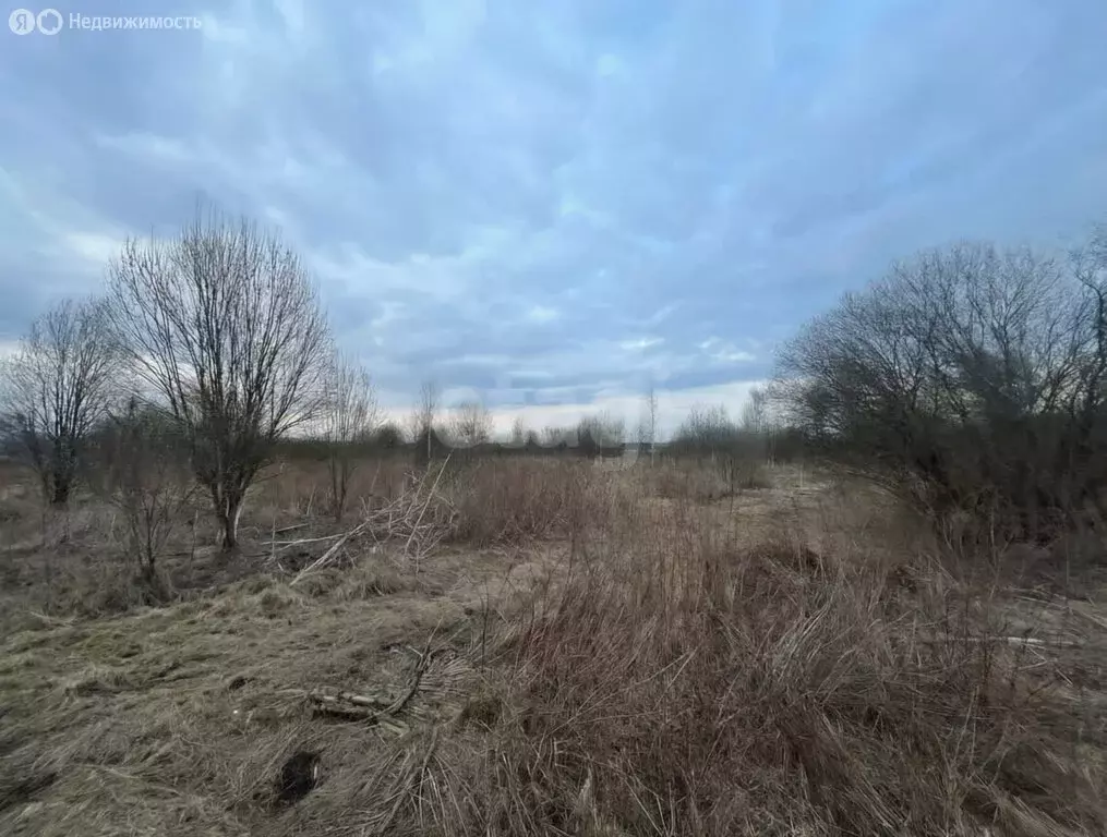 Участок в Ярославль, улица Колышкина (7.8 м) - Фото 1