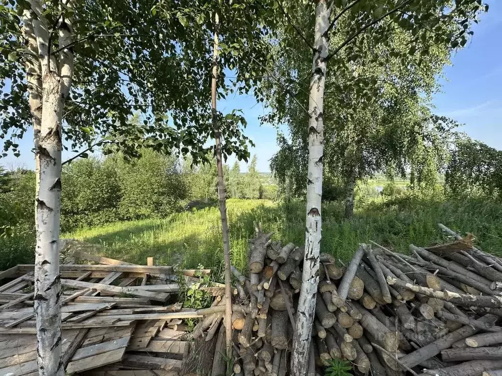 Участок в Нижегородская область, Кстовский муниципальный округ, д. ... - Фото 1