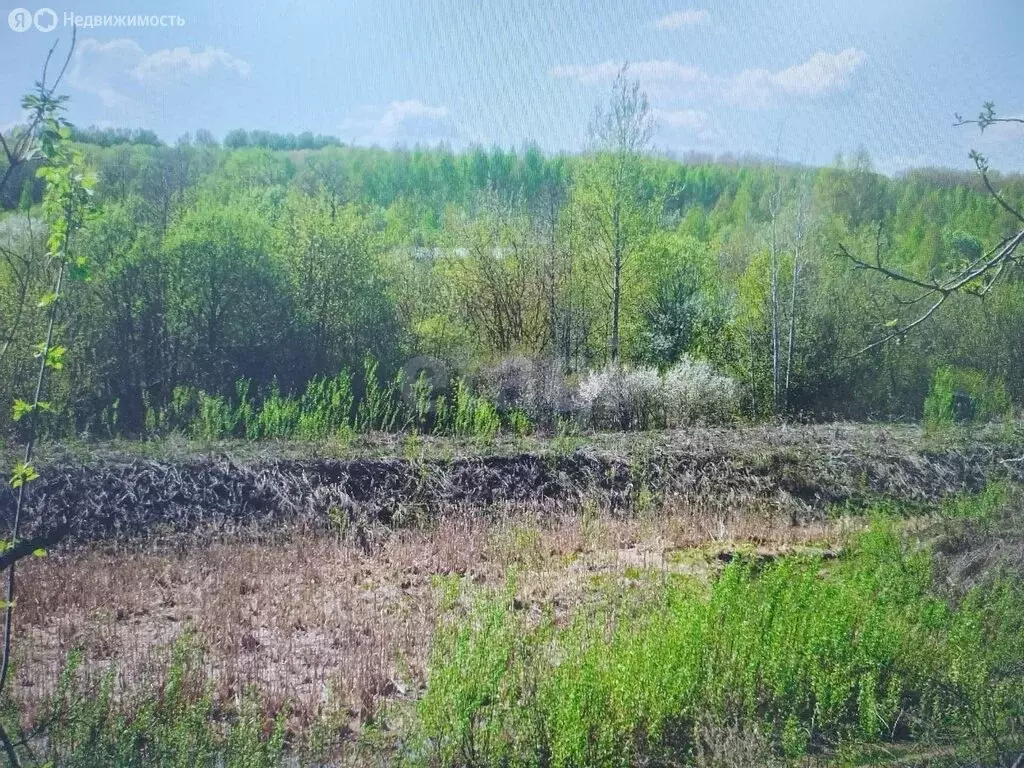 Участок в Саранск, СТ Заря (4 м) - Фото 1